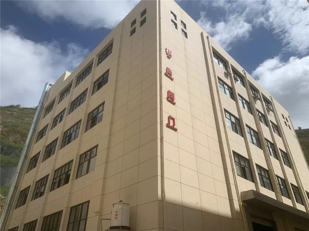 তাইজৌ কিশাং ভালভ কোং, লিমিটেড